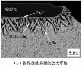 鎳焊盤處界面放大形貌