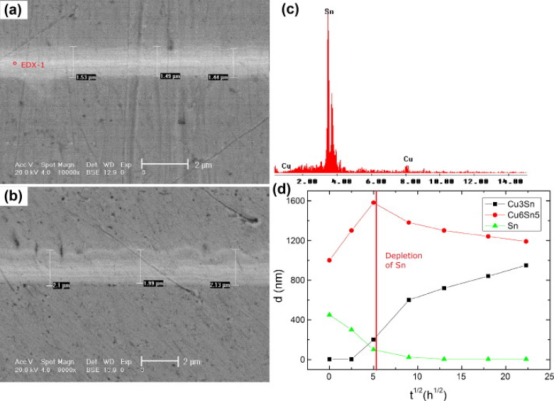 焊料層厚度為1μm時(shí)IMC層的生長情況。