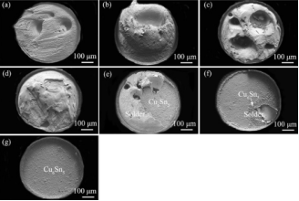 不同溫度下Cu/SAC305/Cu焊點(diǎn)的斷裂表面