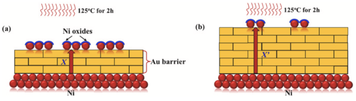 Ni擴(kuò)散及氧化示意圖